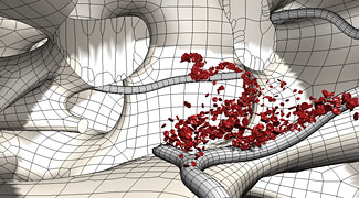 Arbeitsansicht Einblutung
