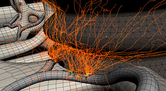 Arbeitsansicht Fibrinnetz